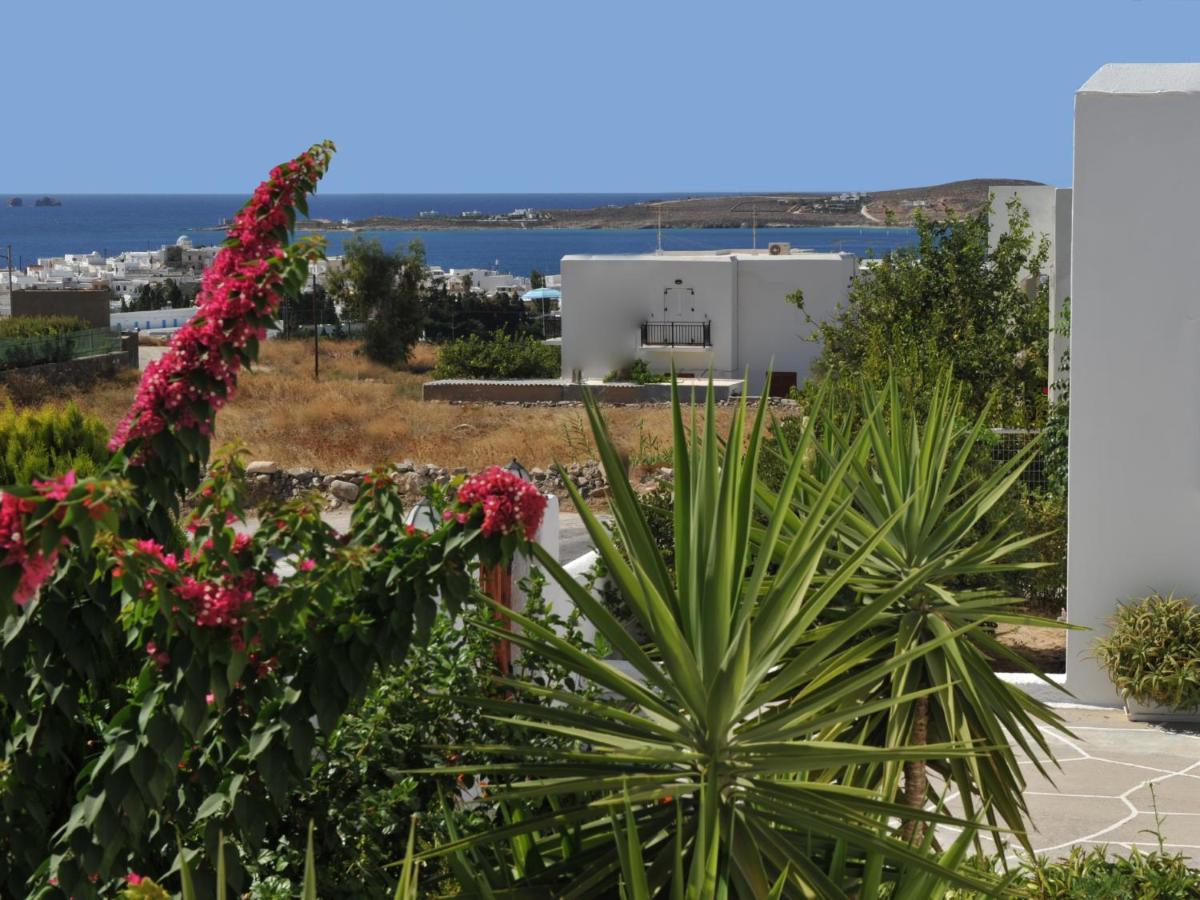 Paros Reppas House "Portes" Kültér fotó